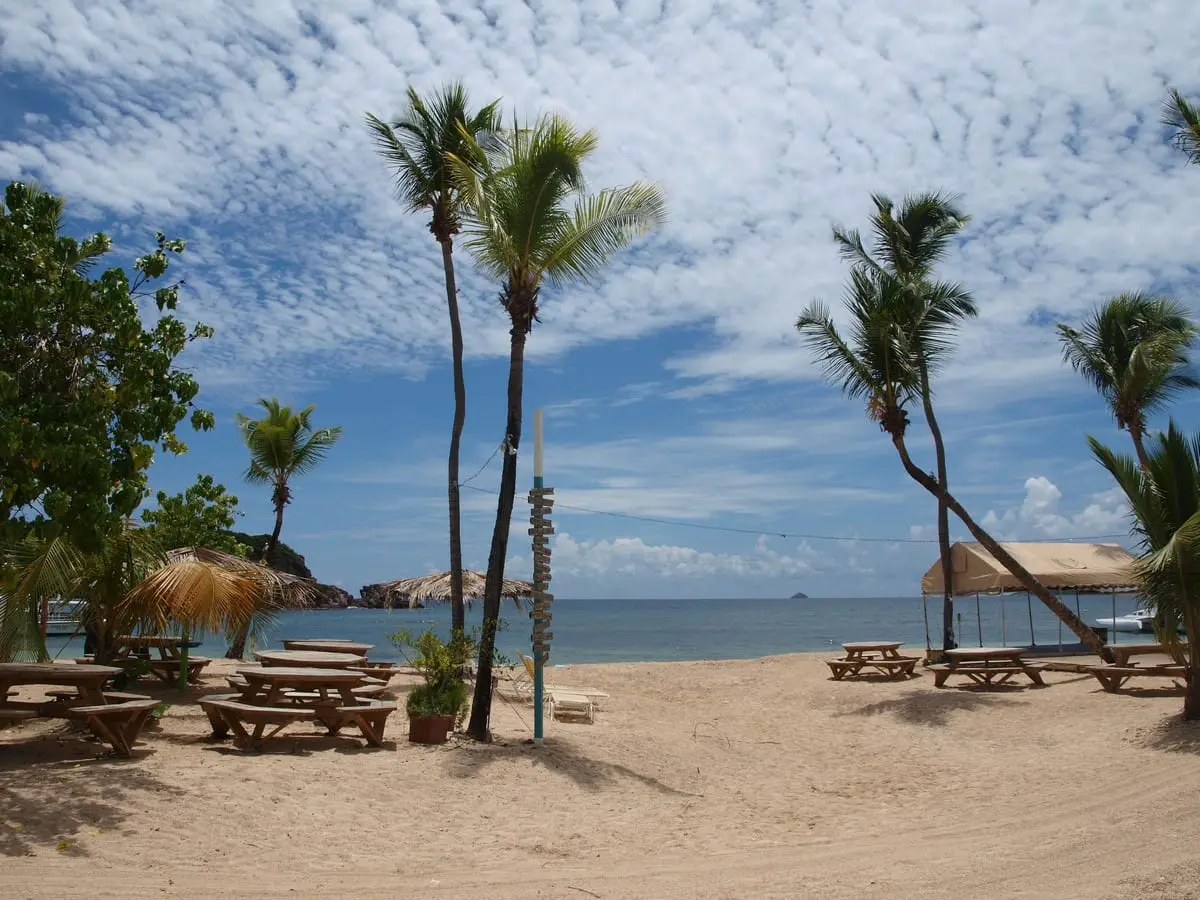 Sandy beach at Bolongo Bay with coconut palms, wooden picnic tables, a signpost and a canopy, and the sea beyond a rocky point