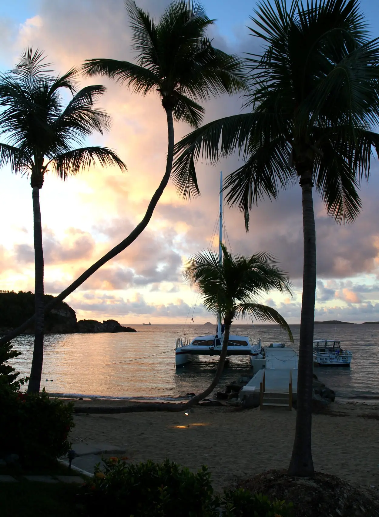 Palm trees silhouetted against a pink sunrise at Bolongo Bay, with a catamaran and a dive boat at a short dock beside the sandy beach