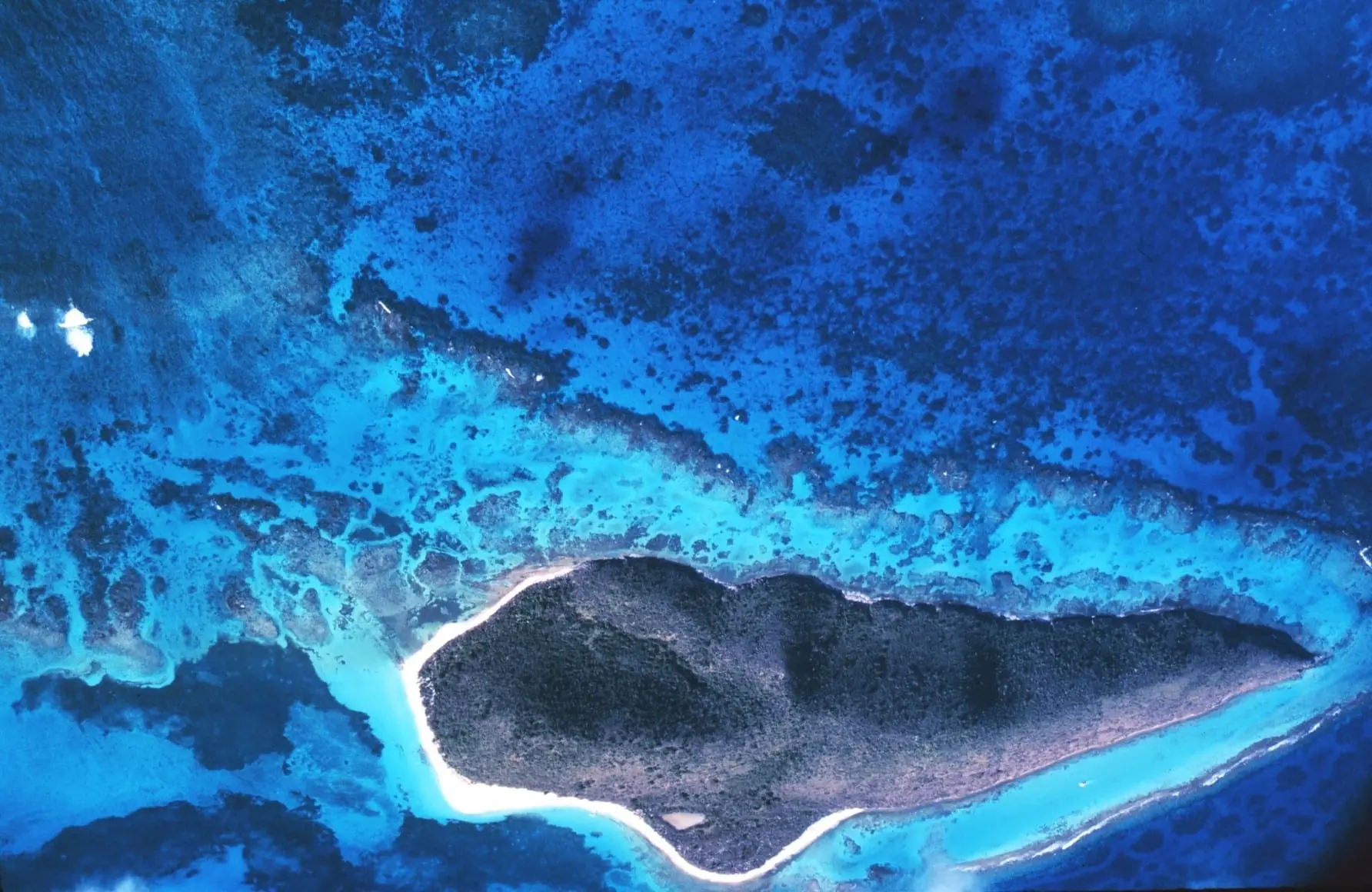 Aerial view of Buck Island, a forested island edged with white sand beaches and surrounded by turquoise shallows and coral reef