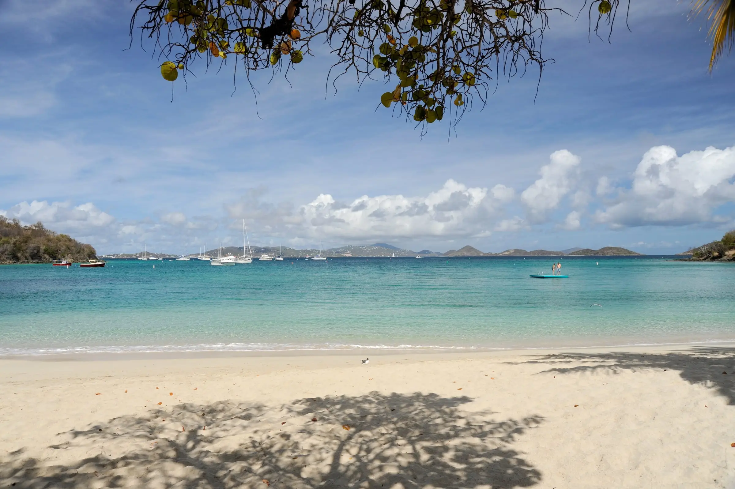 White sand of Caneel Beach in the shade of a sea grape tree, with clear turquoise water, a swim platform and sailboats moored offshore