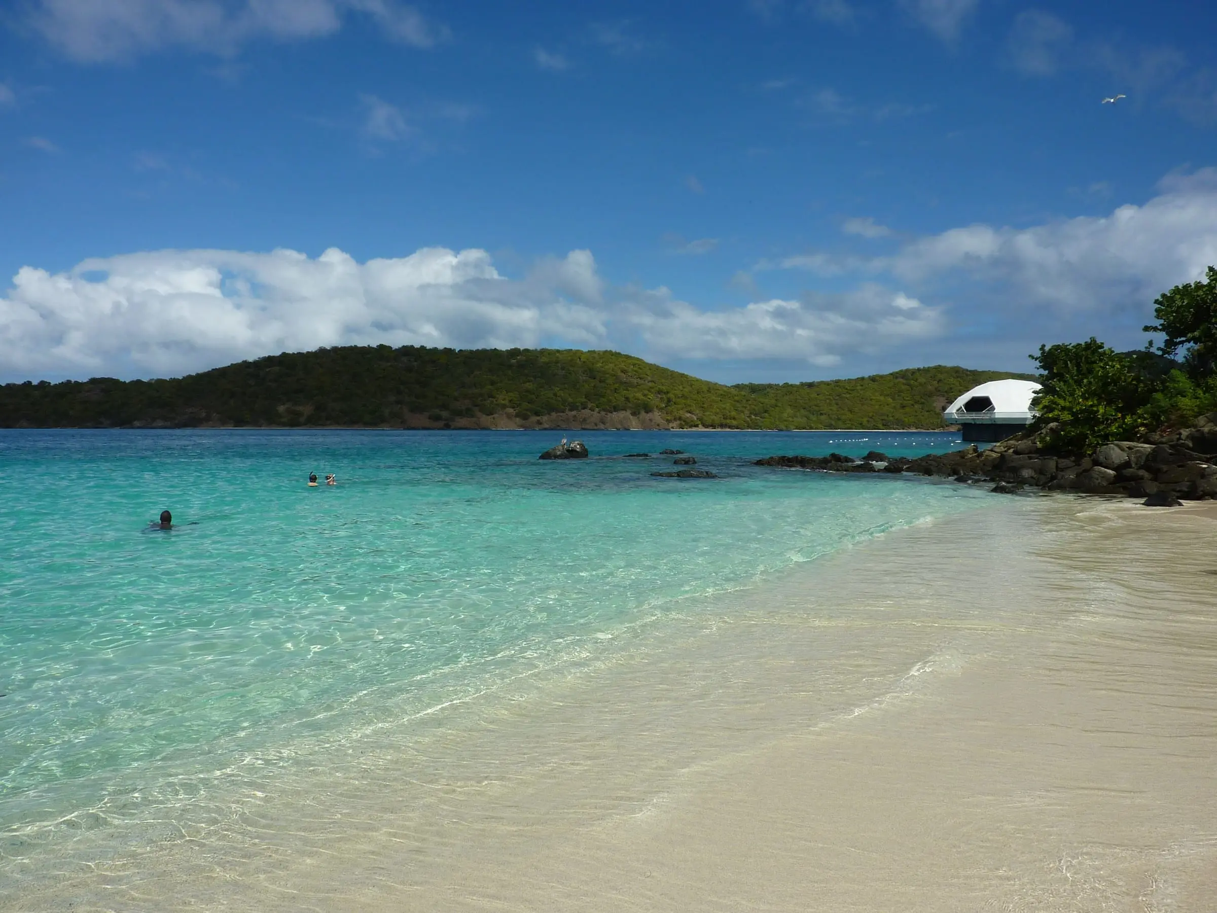 Clear turquoise water at Coki Beach with snorkelers offshore, the white dome of Coral World's observatory tower and Thatch Cay behind