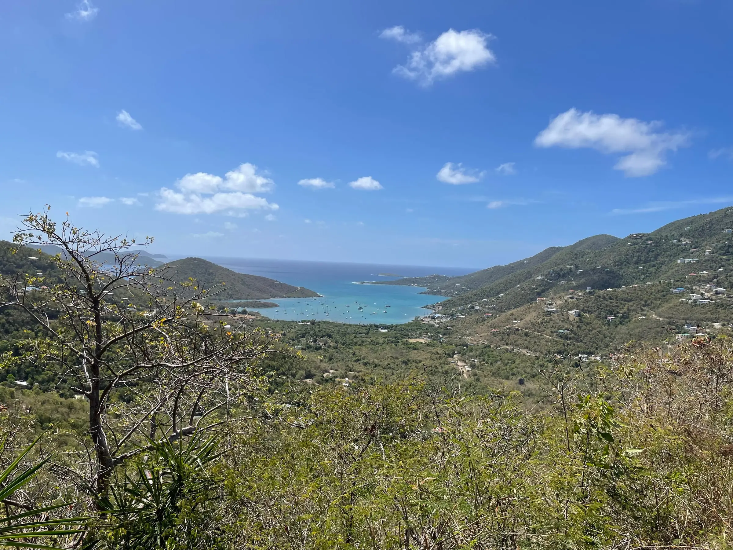 Dry green hillsides sloping down to the blue water of Coral Bay on St. John