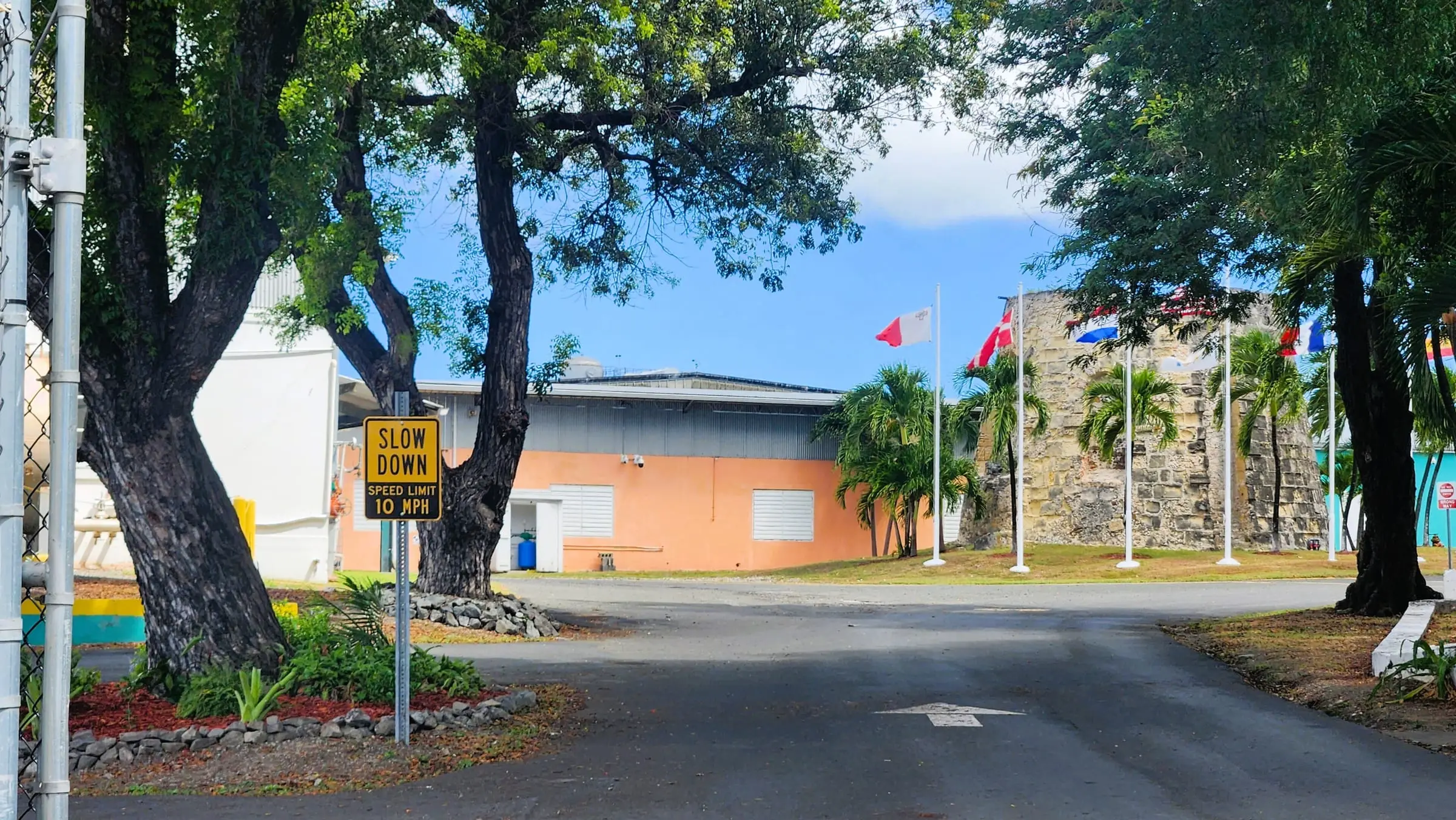 Shaded road through the Cruzan Rum Distillery grounds, with a peach-colored production building and the old stone sugar mill and its flags at right