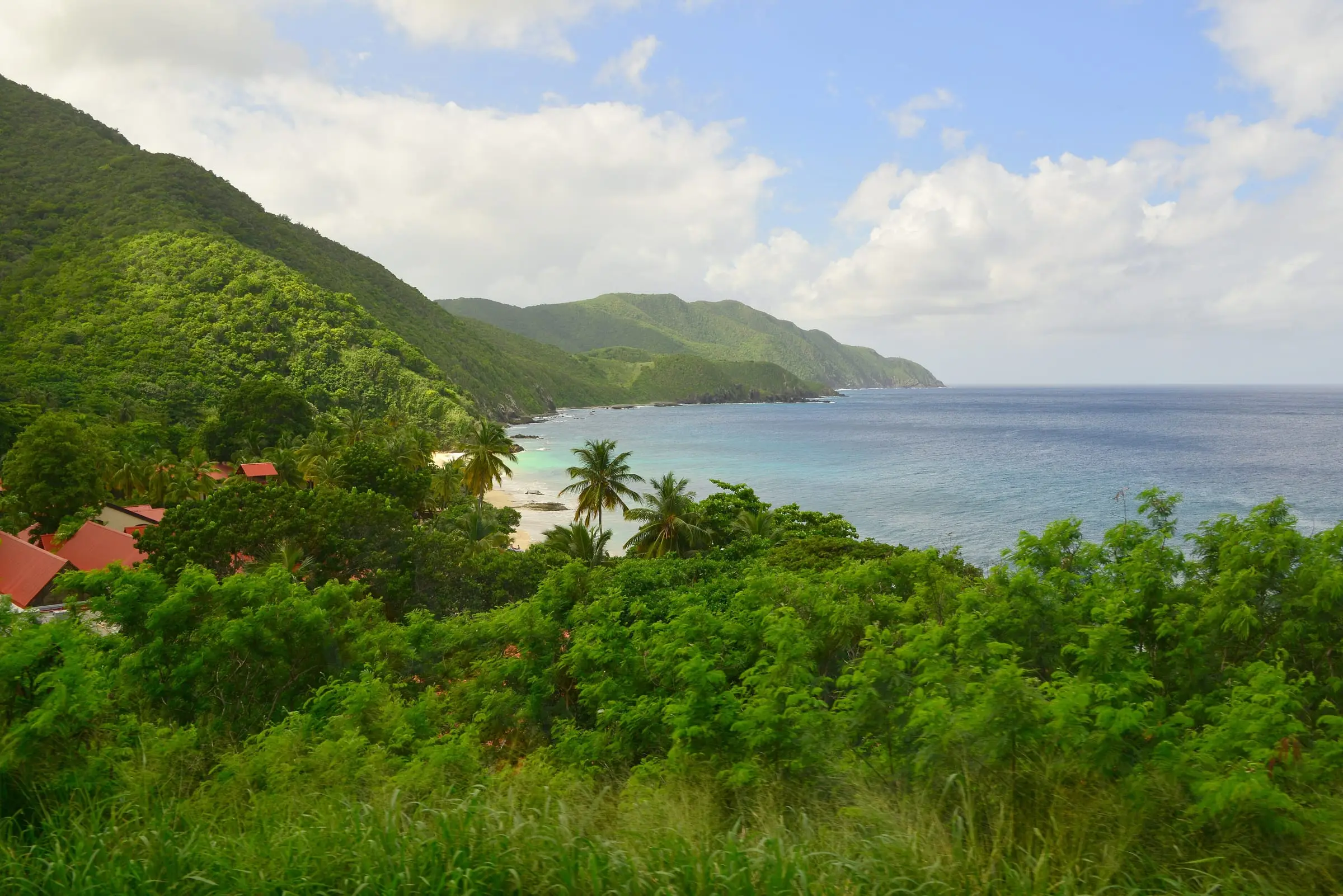 Forested hills of St. Croix's north shore sloping to the sea above Davis Bay, with palms, a small beach and red-roofed buildings among the trees