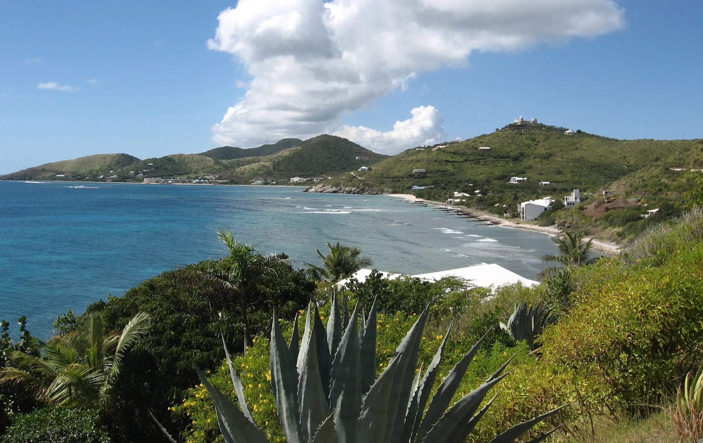 Grapetree Bay and Turner Hole on St. Croix's south shore seen from Grapetree Point road, with villas on green hills, a large white house on the hilltop and agave and palms in the foreground