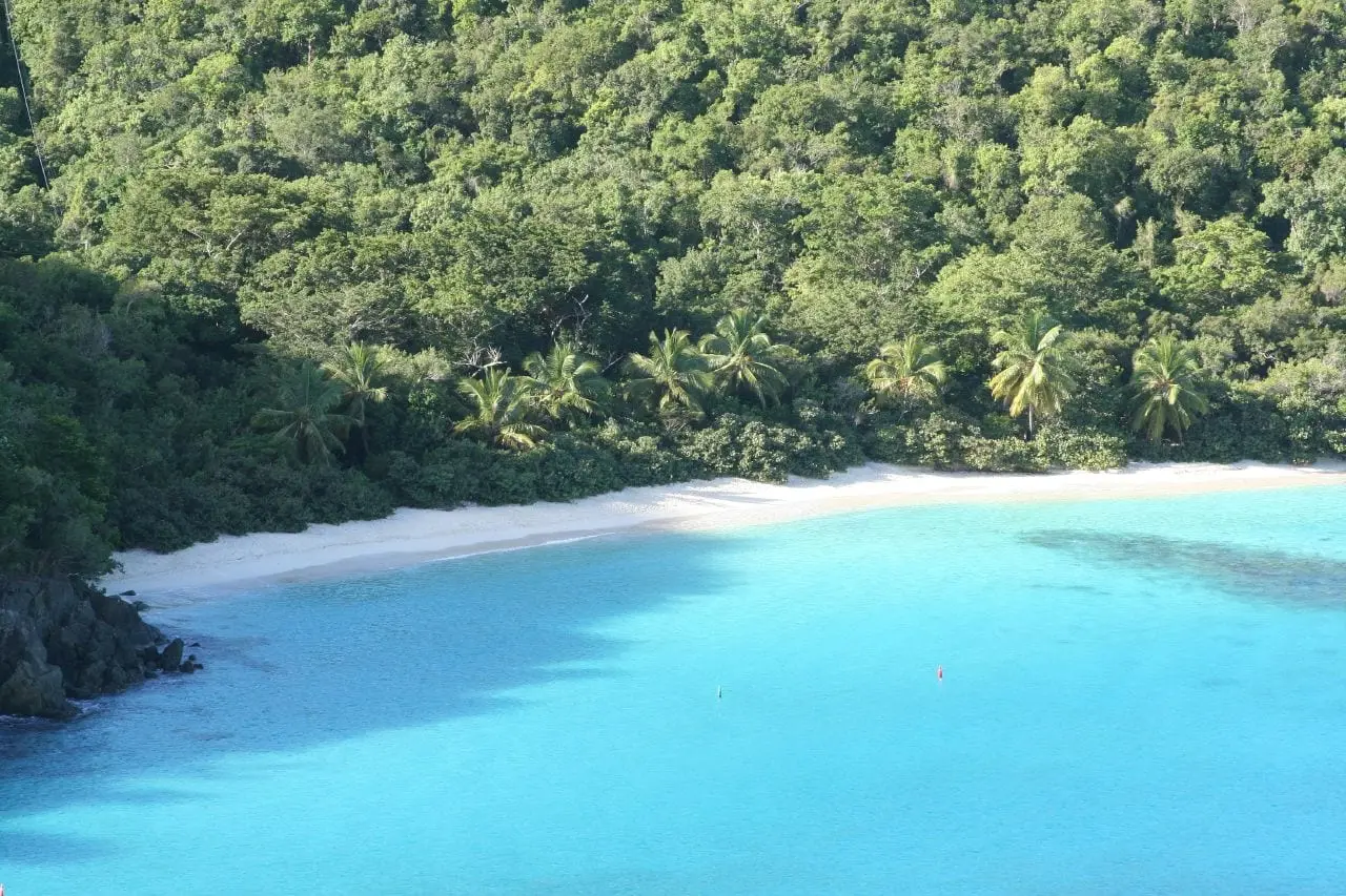 Hawksnest Beach seen from the hillside above, a curve of white sand backed by coconut palms and forest, with clear turquoise water and a rocky point