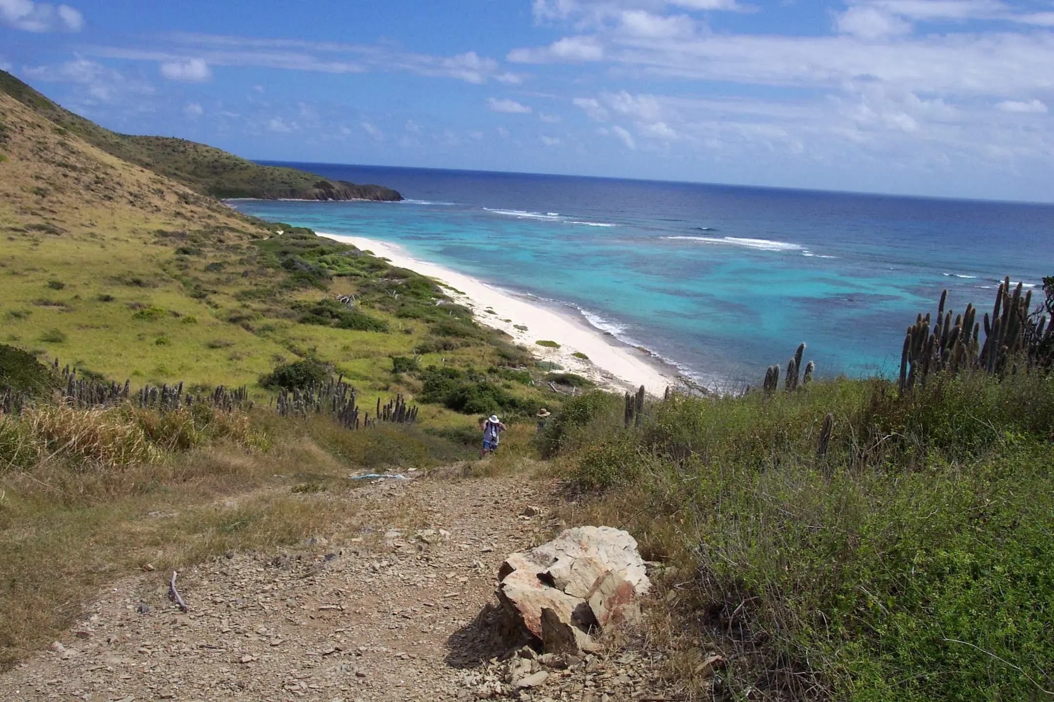 Hiking trail descending a grassy, cactus-dotted slope toward the long white beach of Isaac Bay, with a hiker partway down, turquoise water over the reef and a headland beyond