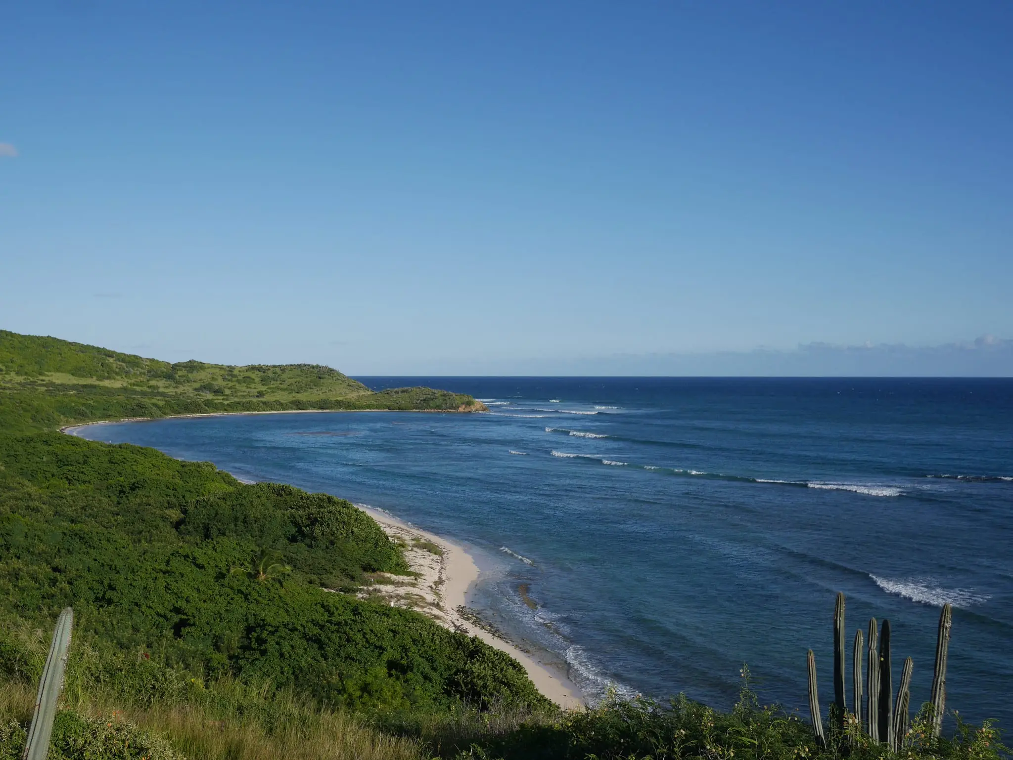Jack Bay seen from the cactus-dotted hillside above its west end, a long sandy beach backed by green scrub curving toward a low point, with waves breaking over the reef