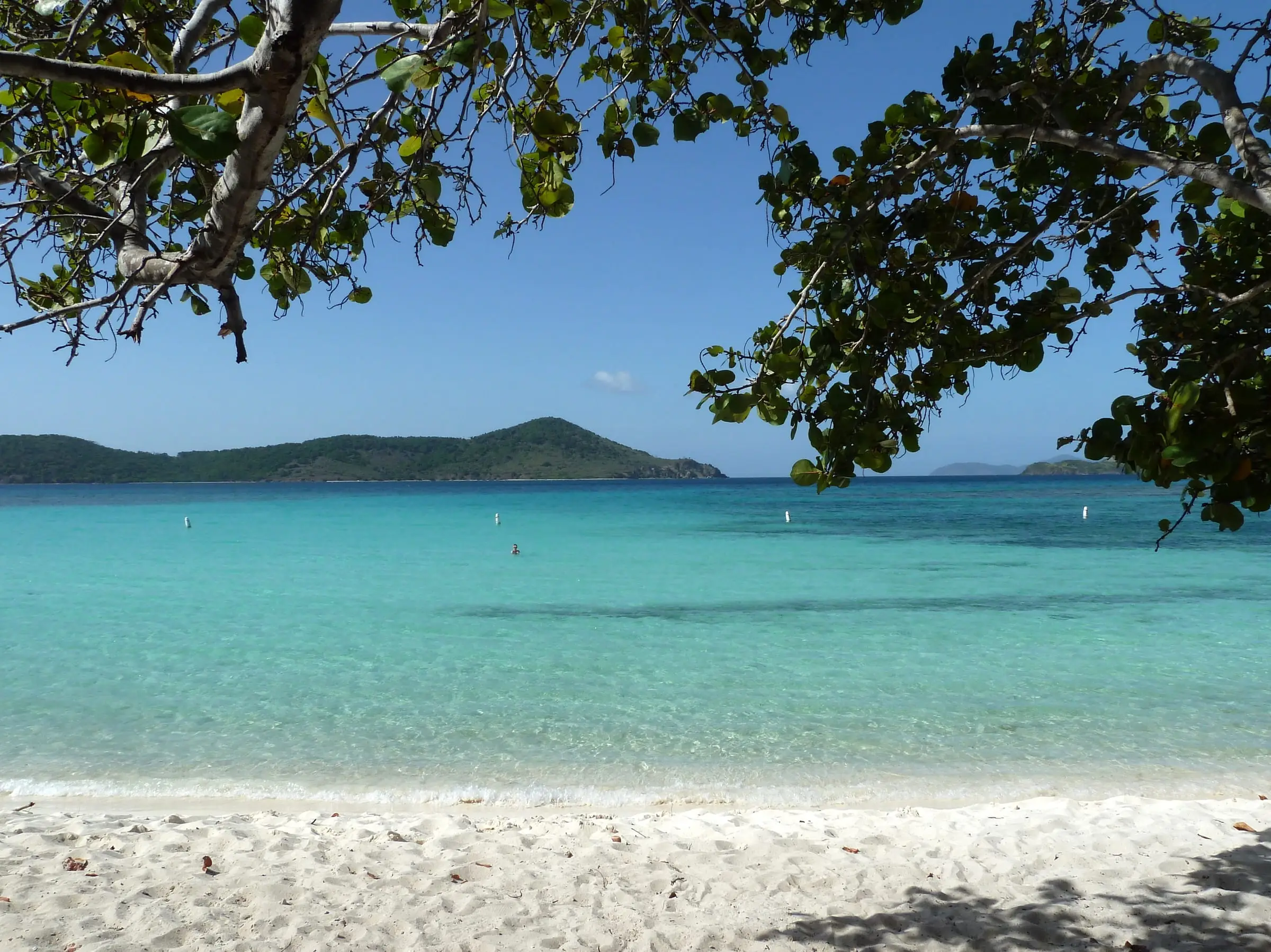 Turquoise water and white sand at Lindquist Beach in Smith Bay Park, framed by sea grape branches, with swim buoys and a green island offshore
