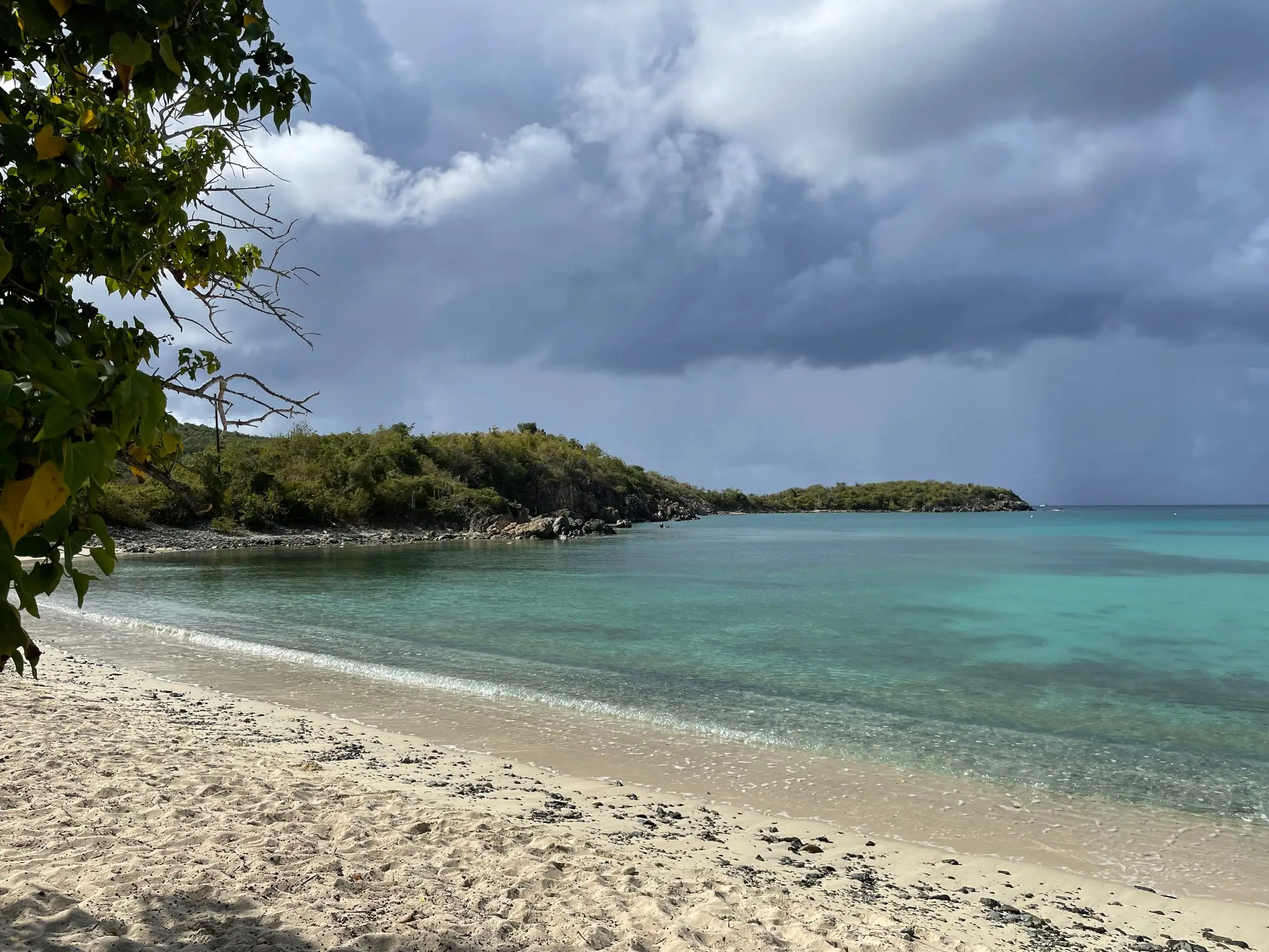 Sandy shore of Little Lameshur Bay with clear turquoise water and the wooded, rocky Yawzi Point under dark rain clouds