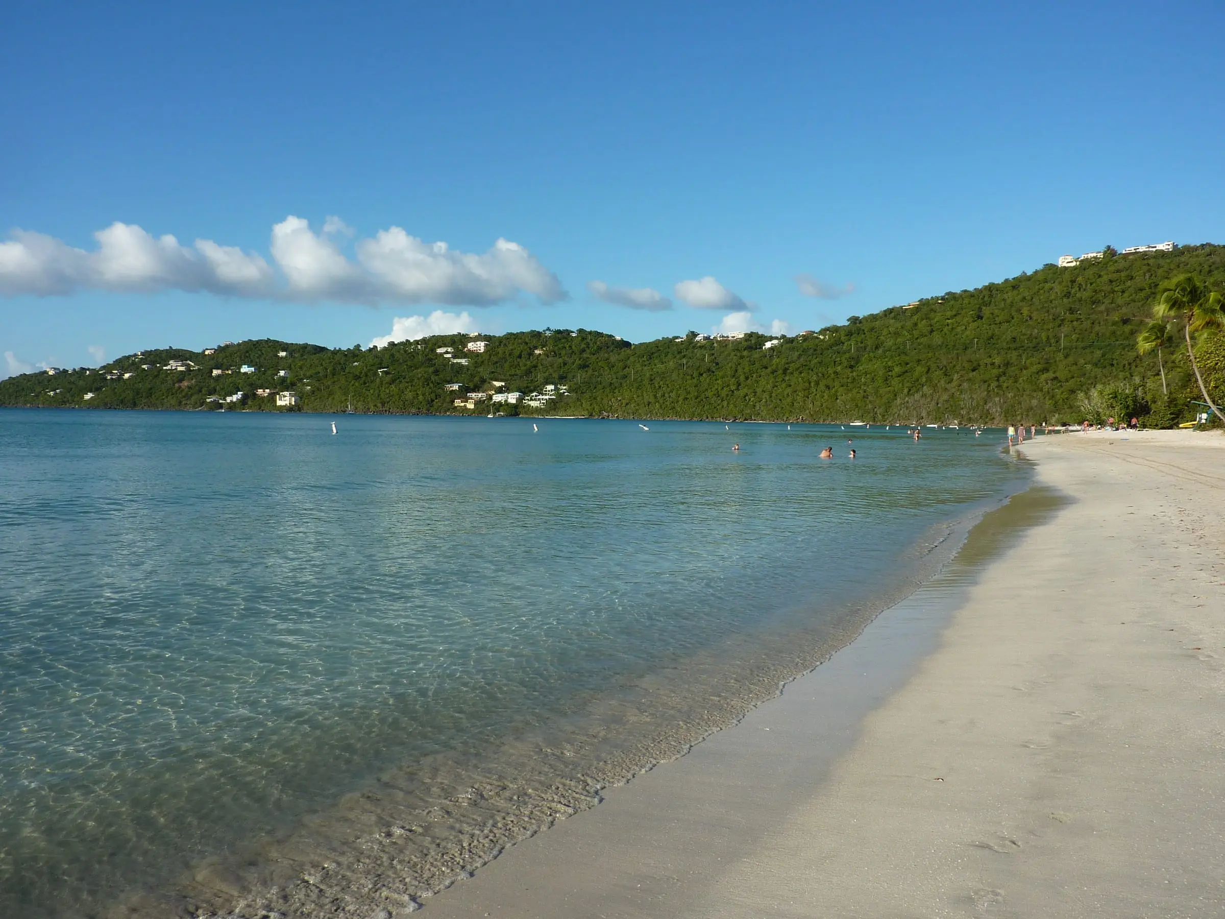 Calm, clear water along Magens Bay beach facing the wooded slopes of Peterborg