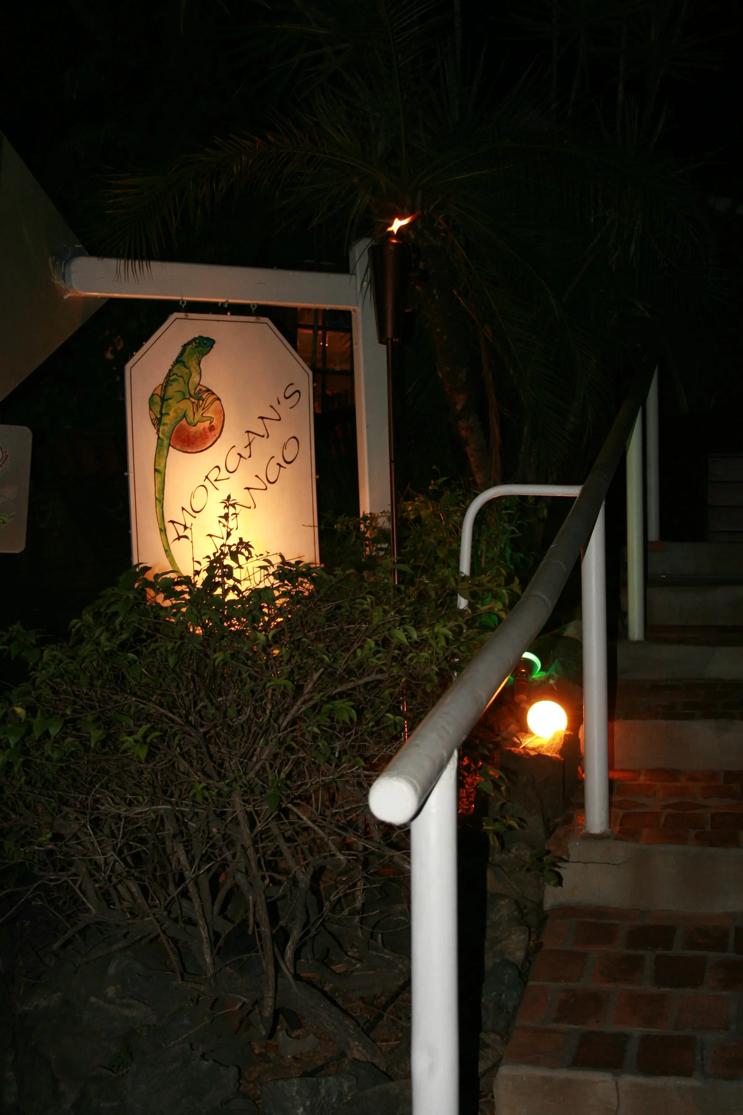 The lit Morgan's Mango sign with its painted iguana beside the railed entrance stairs of the restaurant at night in Cruz Bay