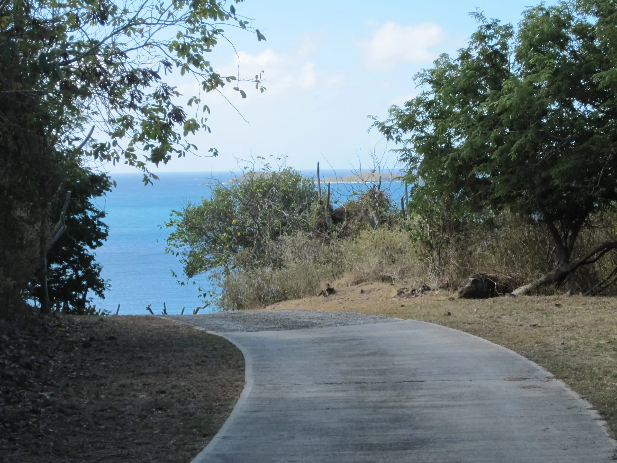 A narrow concrete road curving down through dry scrub and trees toward the blue sea and small offshore cays on the East End of St. John