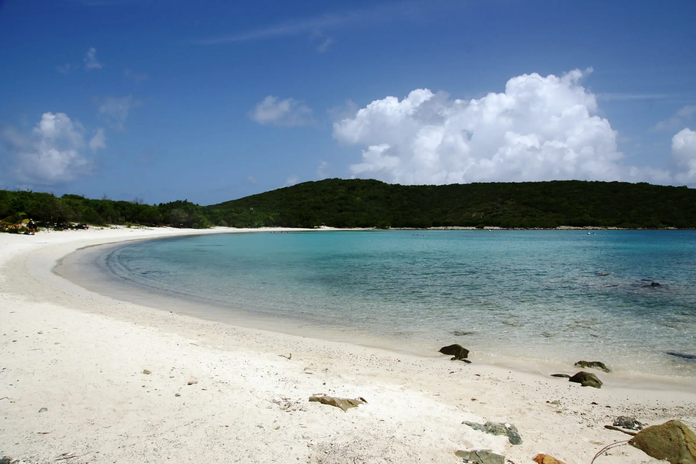Curving white-sand beach at Salt Pond Bay with clear turquoise water, scattered rocks at the waterline and a wooded ridge beyond