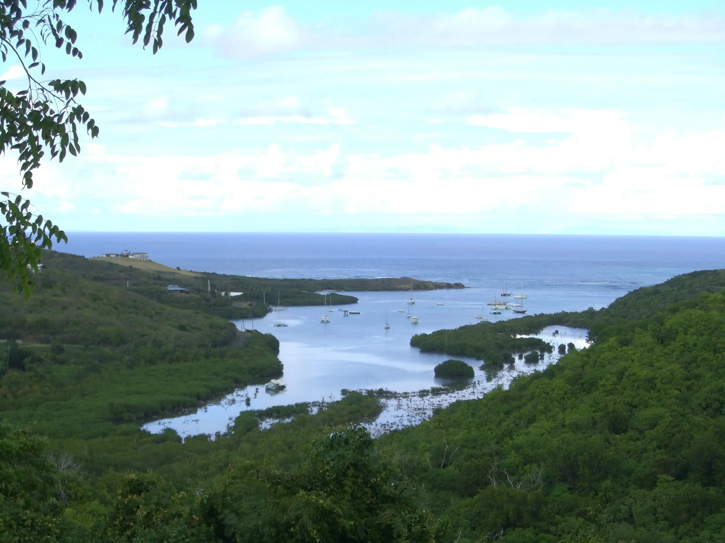 Boats moored in Salt River Bay, framed by mangroves and green hills, with the open sea beyond on St. Croix's north shore