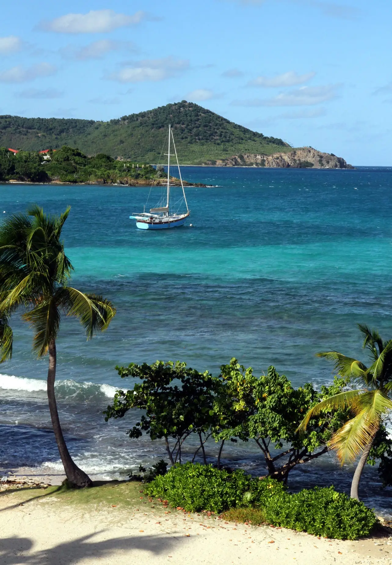 Sand, palms and sea grape trees at Sapphire Beach above turquoise water and reef, with a sailboat at anchor and a green headland across the bay