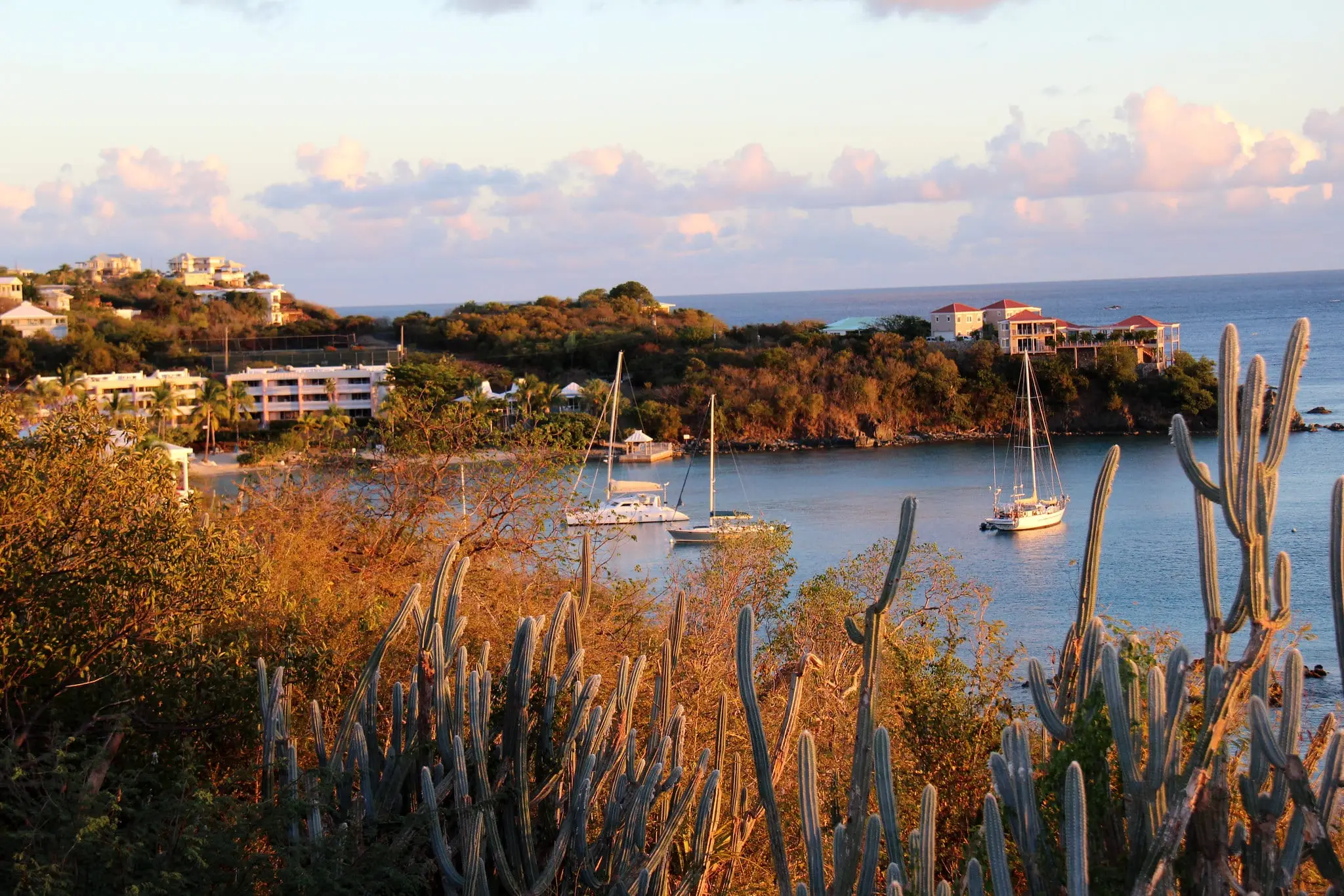 Sailboats moored in the calm cove at Secret Harbour in golden evening light, seen from a cactus-covered hillside, with the beach, a gazebo dock and resort buildings at left and red-roofed villas on the point